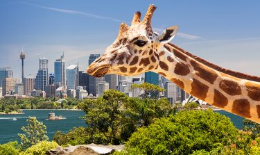 Sydney Zoo emphasised the importance placed on sustainability and in creating an operation with a minimal carbon footprint.