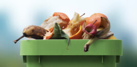 Canada food waste study Preview